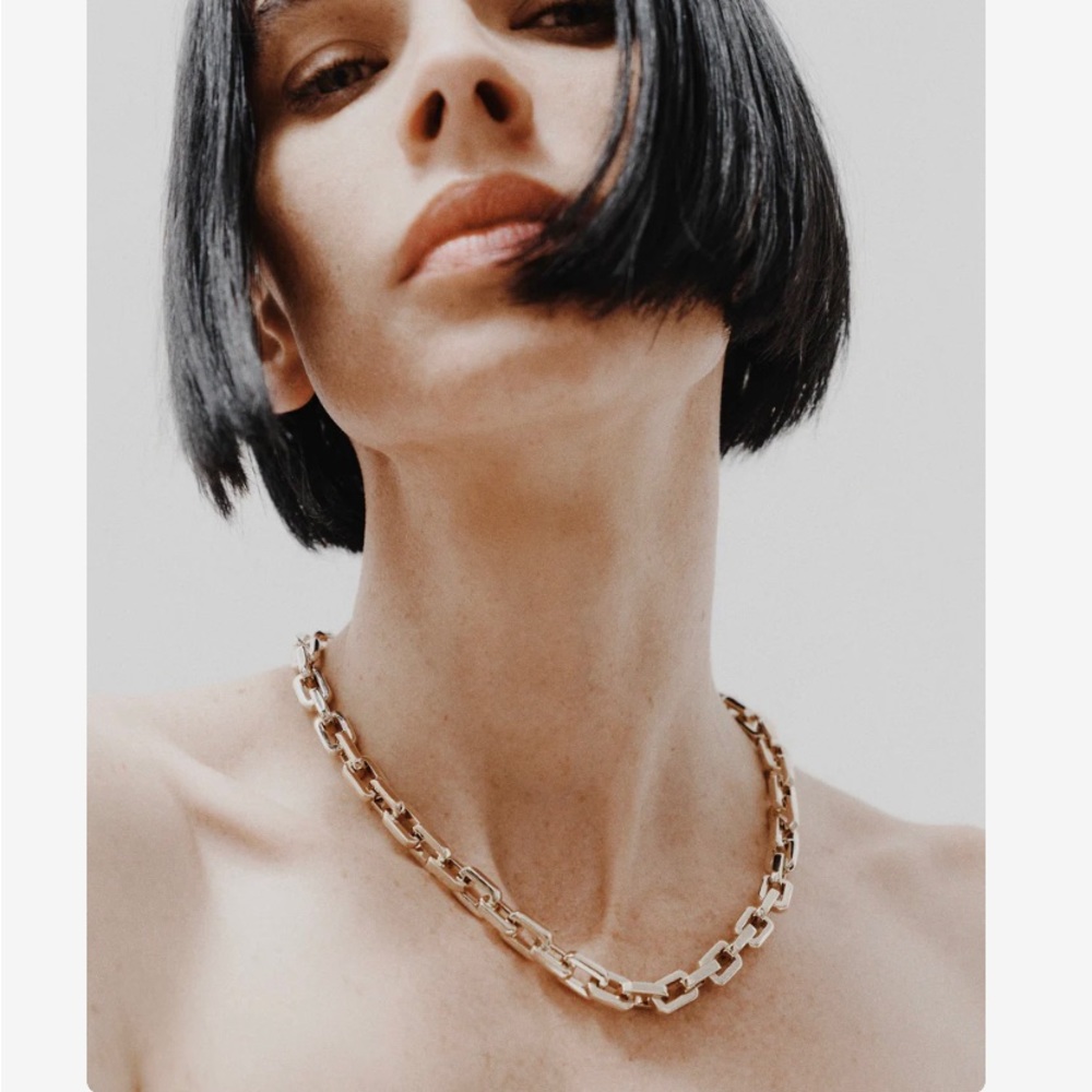 425$ Msrp @ website Eddie Borgo Supra chain necklace silver vermeil gold plated